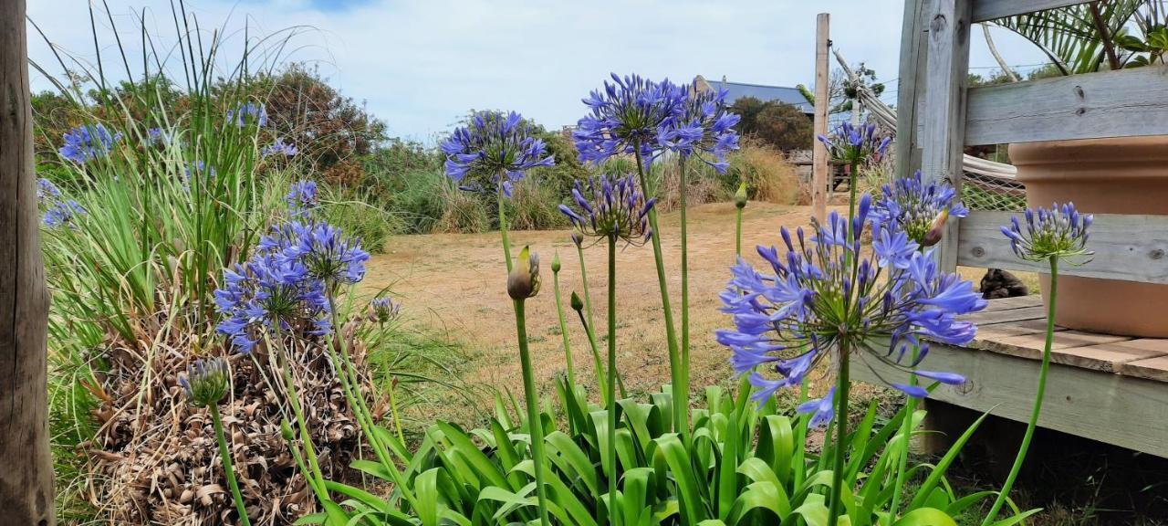 Dejeps Villa Punta Del Diablo Eksteriør bilde